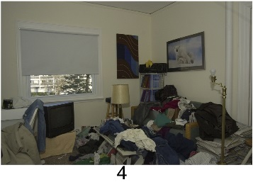 hoarding_living_room_4